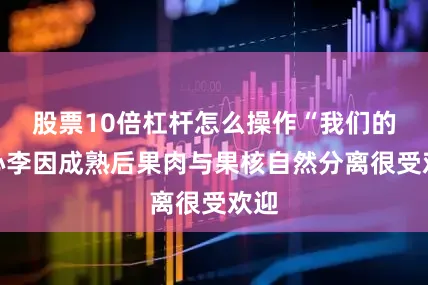 股票10倍杠杆怎么操作“我们的空心李因成熟后果肉与果核自然分离很受欢迎