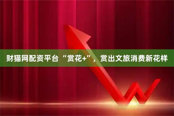 财猫网配资平台 “赏花+”，赏出文旅消费新花样